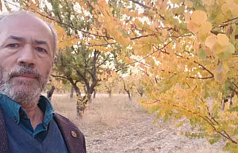 Muhtar Ali Yiğit'ten Çağrı: Malatya'ya İlk Açık Hava Kayısı Müzesi Kurulsun