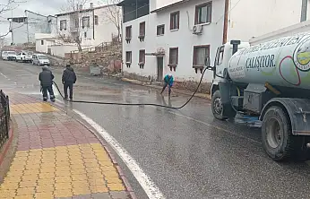 Pütürge'de Cadde ve Sokaklar Yıkanıyor