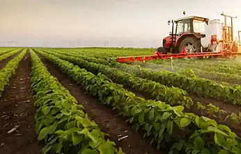 Sebze ve Kavun-Karpuzda Tarım ÜFE Aylık Yüzde 22,27 Arttı