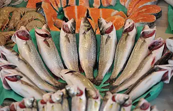 Su ürünleri ve hayvansal mamuller ihracatı 4 milyar doları aştı