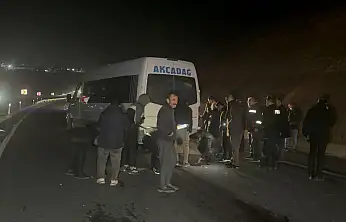 Sultan Suyu'ndan Kaçan Taylar Karayoluna Çıktı: 8 Tay Telef Oldu