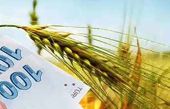 Tarım Destekleri Ödeniyor: 1 Milyar 623 Milyon TL Çiftçilere Aktarılacak