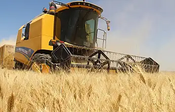 Tarım-GFE Eylülde Yüzde 34,6 Arttı: Girdi Maliyetlerinde Yükseliş Sürüyor