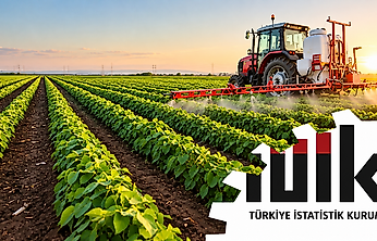 Tarım-ÜFE Eylül Ayında Düştü: Sebze Fiyatlarında Yıllık Artış Yüzde 61'i Aştı