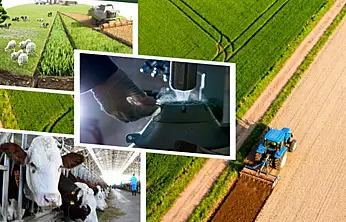 Tarımsal Destek Ödemeleri Üreticilere Ulaşıyor