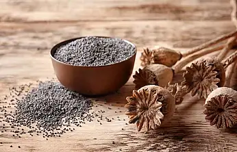 TMO'dan Mavi Haşhaş Tohumu Satışı