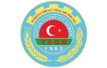 TZOB Açıkladı: Ekim Ayında Limonun Üretici ve Market Fiyatı Arasında Uçurum Oluştu!
