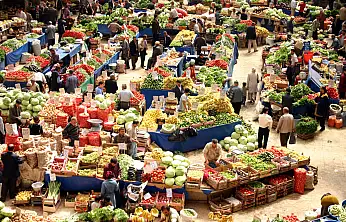 TZOB: Gübre fiyatları yıllık yüzde 63'e varan artış gösterdi