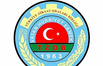 TZOB: Market-Üretici Fiyat Makası Kasımda Daha da Açıldı