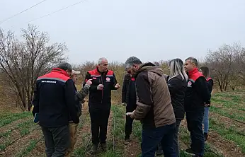 Yarımcahan'da Safran Atağı: Dekarda 900 Gram Başarı