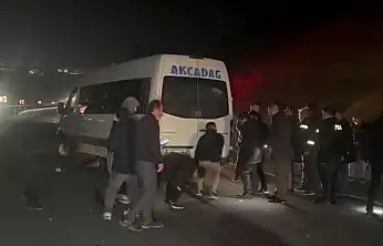 Yarış Atlarının Kaçışı Kazayla Sonuçlandı: Valilikten Açıklama