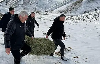 Yeşilyurt Belediyesi'nden Yaban Hayatına Yem Desteği!
