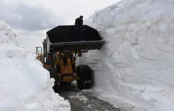 Yoğun Kar Yağışı: Düzce'de 224 Santimlik Rekor