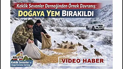 Keklik Sevenler Derneğinden Örnek Davranış: Doğaya Yem Bırakıldı
