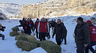 Malatya'da Yaban Hayvanlarına yem Desteği