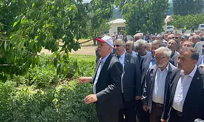 6 Şubat depremi gibi, 65 vilayetimizde büyük bir zirai don felaketi ile karşı karşıya kaldık