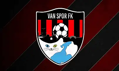 Artı Değer Van Spor, 1. Lig'de