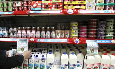Avrupa'dan işgalcilere ticari yaptırım çağrısı