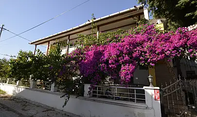 Avşa Adası Günlük Kiralık Evler: Tatilinizi Kendi Kurallarınızla Yaşayın!