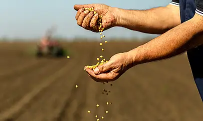 Bakan Yumaklı: Tarımsal hasılada 7 ülke arasına girdik