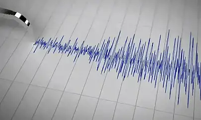 Bingöl'deki depremden sonra Adana'da da deprem oldu