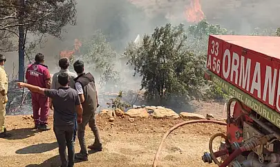 Bursa'daki orman yangınında 20 dönüm zarar gördü