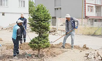Dolamantepe Mahallesi'nde Park ve Yol Düzenlemesi
