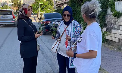 Gücümüz ağaçlar kadar derin köklere sahip olsun, ormanları koruyarak geleceğe umutla bakalım