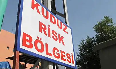 Hatay'da kuduz karantinası
