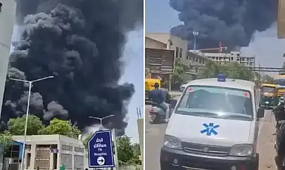 Hindistan'da düşen uçak enkazında 204 ceset ve 41 yaralıya ulaşılırken 1 kişi sağ kurtuldu