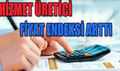 Hizmet Üretici Fiyat Endeksi arttı