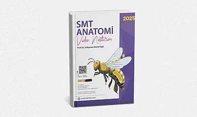 İnsan Sistemlerini Detaylı Anlatan Anatomi Kitapları