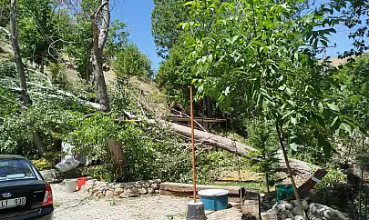 Malatya'da şiddetli fırtına: Ağaçlar devrildi çatılar uçtu