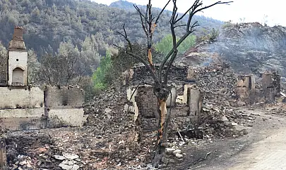 Orman yangınlarından etkilenenlere hane başına 162 bin TL'lik destek