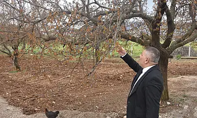 Sadıkoğlu: 'Verilecek destekler sadece kayısıyı değil, şehrimizin geleceğini ilgilendiriyor'