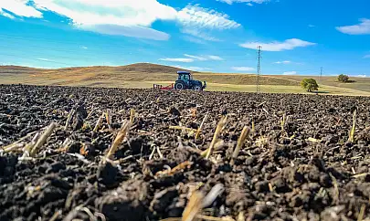 Tarım alanında 2025'te 60 yeni çeşit tescillendi