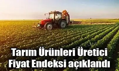 Tarım ürünleri üretici fiyat endeksi (Tarım-ÜFE) yıllık yüzde 27,50 arttı, aylık yüzde 0,45 azaldı