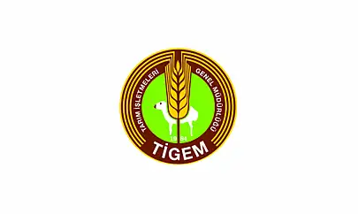Tigem Kura Sonuçları
