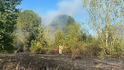 Bursa'da orman yangını