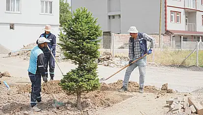 Dolamantepe Mahallesi'nde Park ve Yol Düzenlemesi