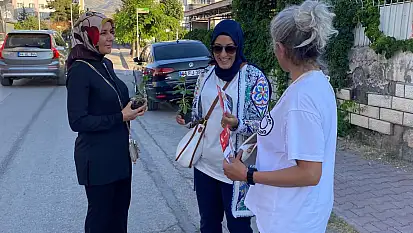 Gücümüz ağaçlar kadar derin köklere sahip olsun, ormanları koruyarak geleceğe umutla bakalım