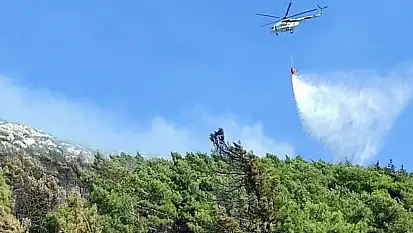 Hatay'da ormanlık alanda yangın