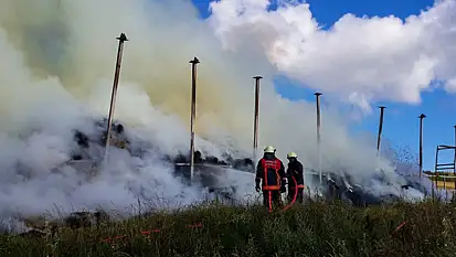 İstanbul Silivri'de ormanlık alanda çıkan yangın söndürüldü