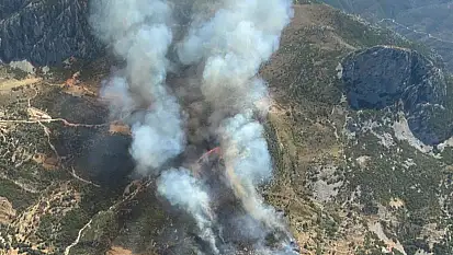 Manisa'da orman yangını