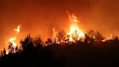 Manisa'da orman yangını