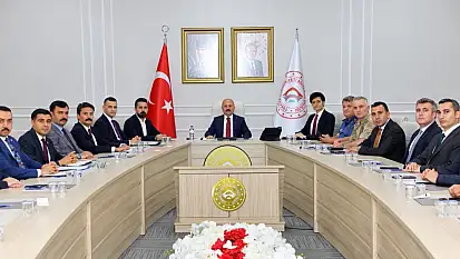 Sokak hayvanları için yol haritası belirlendi