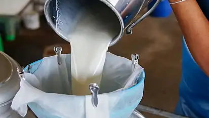 Ticaret bakanlığından 4 büyük süt şirketine ceza yağdı