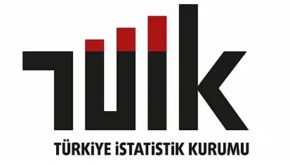 Ücretli çalışan sayısı yıllık yüzde 0,6 arttı