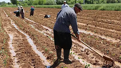 Üreticilere 5,1 milyar lira destekleme ödemesi yapılacak