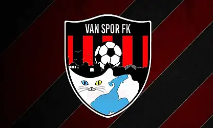 Artı Değer Van Spor, 1. Lig'de